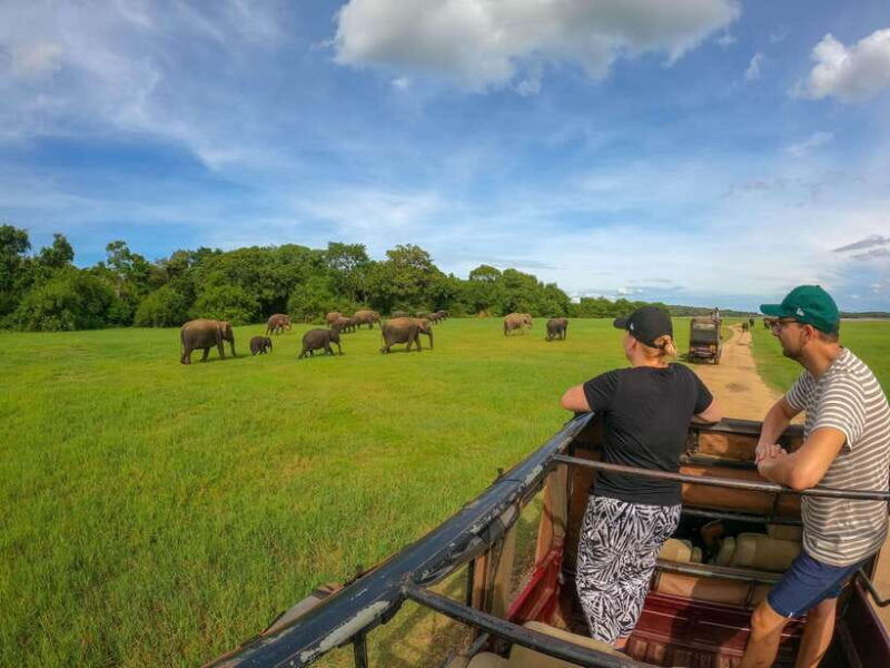habarana-hurulu-eco-park-elephant-safari-with-hotel-pickup