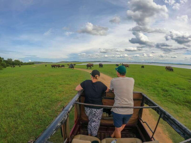 habarana-hurulu-eco-park-elephant-safari-with-hotel-pickup