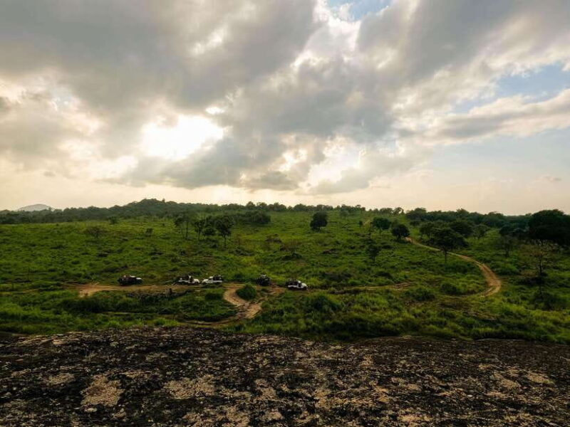 habarana-hurulu-eco-park-elephant-safari-with-hotel-pickup