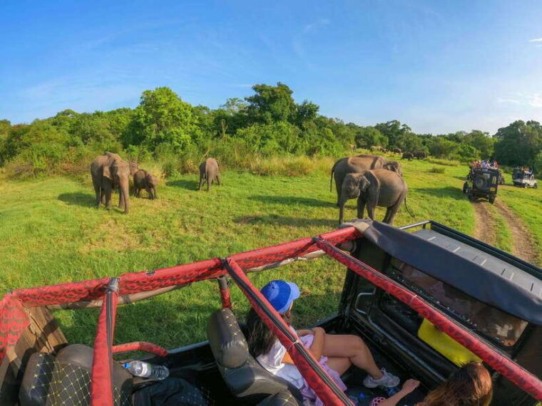habarana-hurulu-eco-park-elephant-safari-with-hotel-pickup
