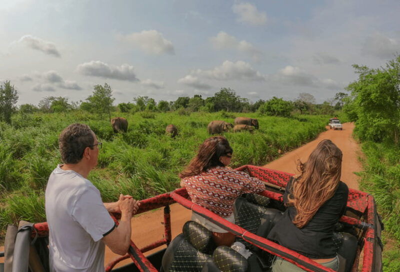 habarana-hurulu-eco-park-half-day-safari-with-hotel-pickup