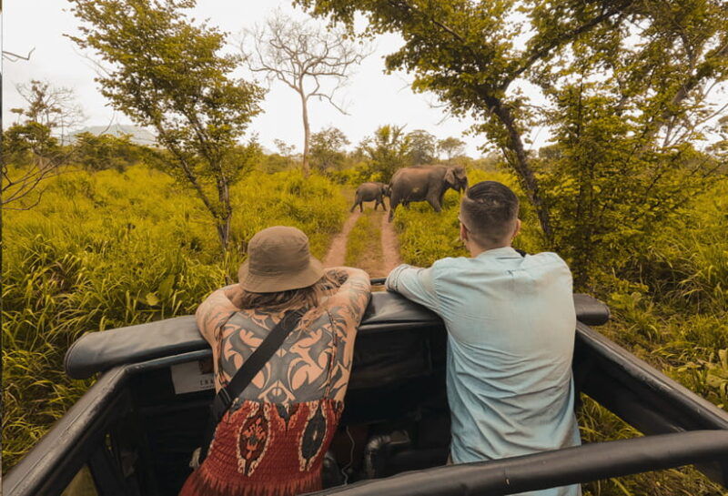 habarana-hurulu-eco-park-half-day-safari-with-hotel-pickup