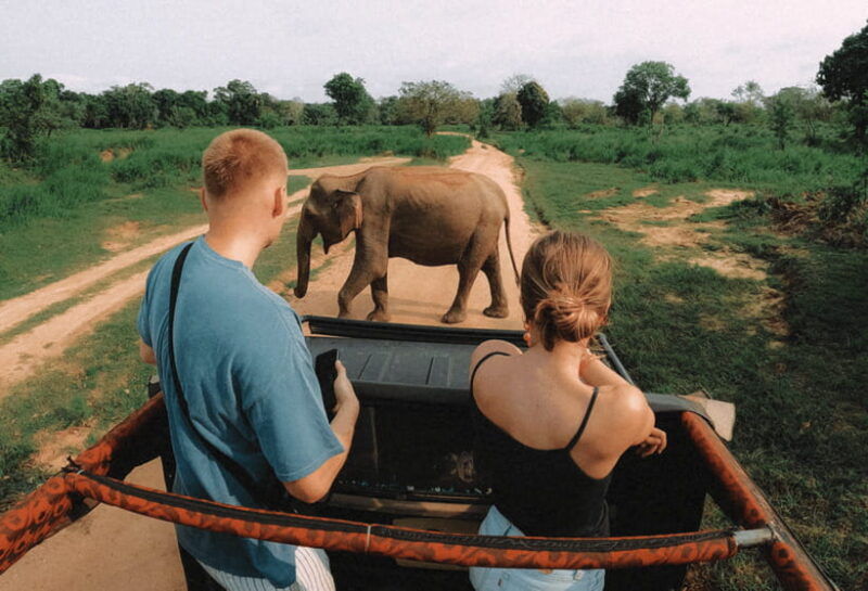 habarana-hurulu-eco-park-half-day-safari-with-hotel-pickup