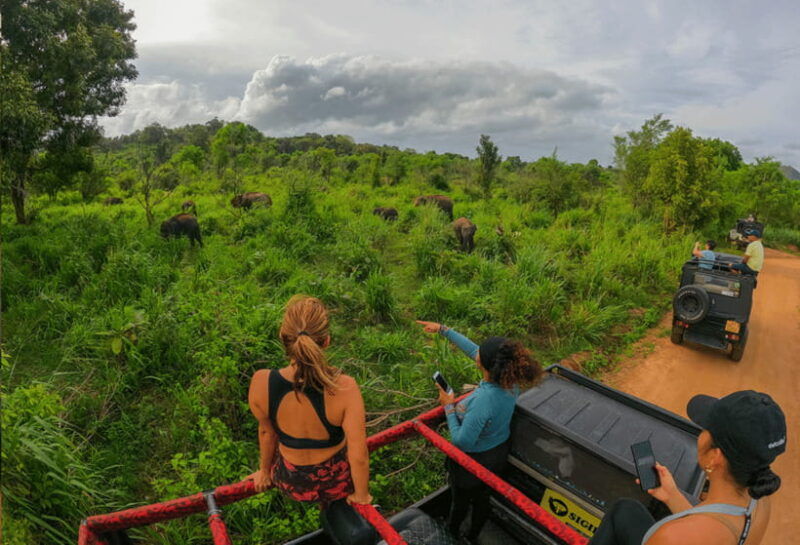 habarana-hurulu-eco-park-half-day-safari-with-hotel-pickup