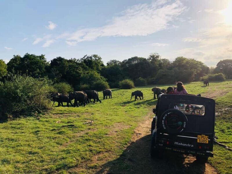 Habarana: Pure Village Life and Cultural Experience Day Tour - Key Points