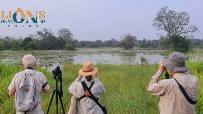 Habarana & Sigiriya: Night Safari to see nocturnal wildlife - Key Points