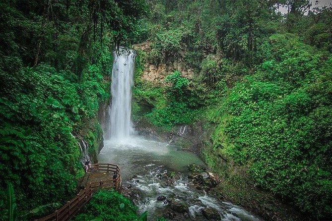 hacienda-cafe-doka-poas-volcano-la-paz-waterfall-gardens