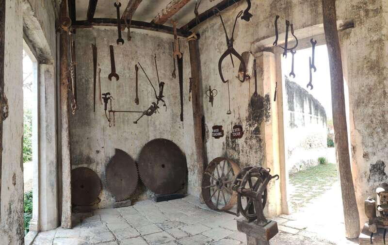 Hacienda Mucuyche Cenotes Tour Oxkintok Mayan Ruins - Who Should Consider This Tour?