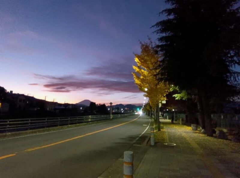 Hadano, Japan: Strawberry Picking Experience Near Tokyo - Who Is This Tour Perfect For?