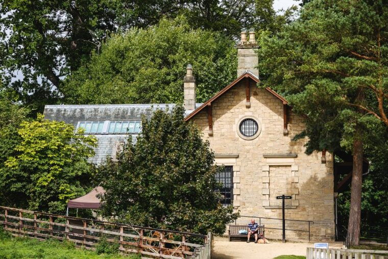 hadrians-wall-chesters-roman-fort-and-museum-entry-ticket