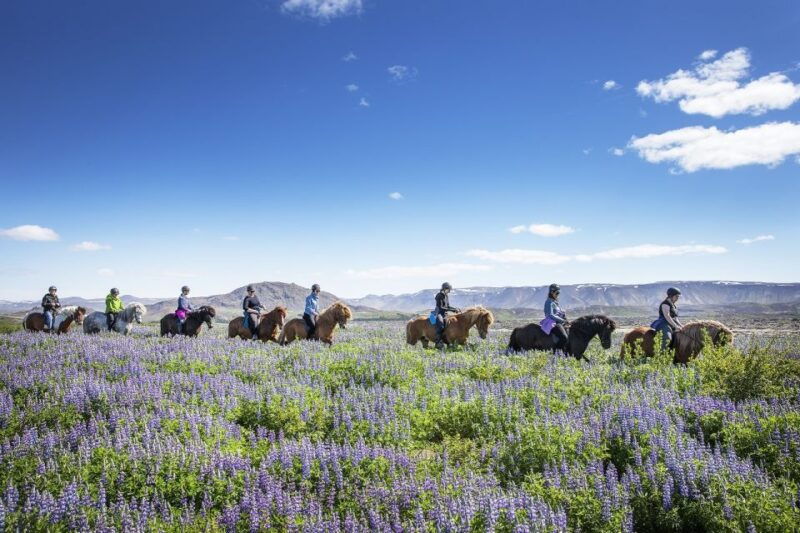 hafnarfjordur-horseback-riding-tour-in-reykjavik-area