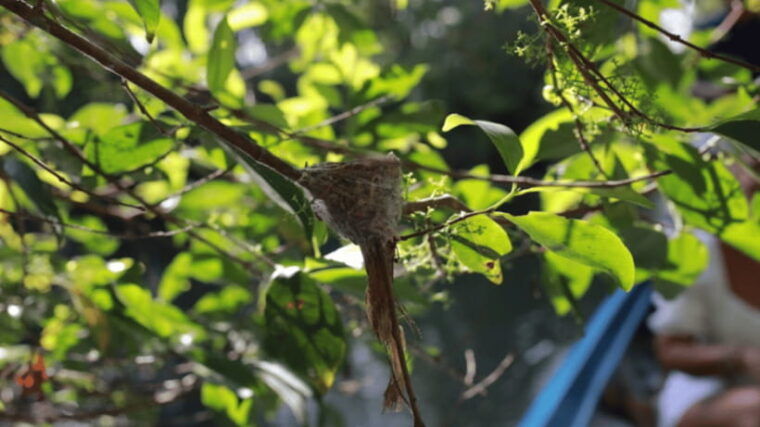 haft-day-from-cantho-lungngochoang-visit-nature-reserved