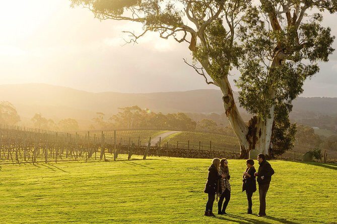 Hahndorf and Adelaide Hills Hop-On Hop-Off Winery Tour from City - Exploring the Adelaide Hills and Hahndorf: A Comprehensive Review of the Hop-On Hop-Off Winery Tour