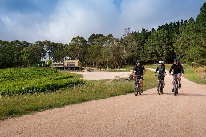 Hahndorf food and wine E-Bike Tour - Practical Details and Value