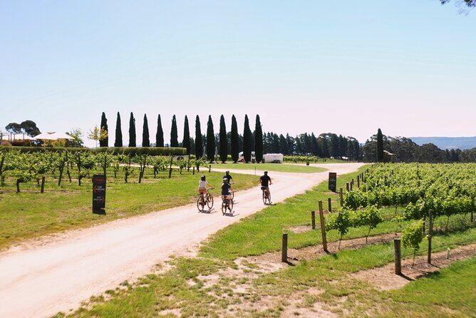 Hahndorf food and wine E-Bike Tour - What the Reviews Say