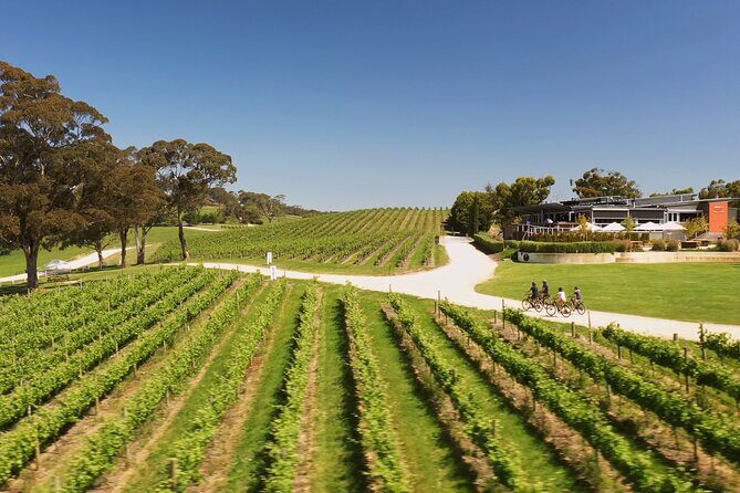 Hahndorf food and wine E-Bike Tour - FAQs