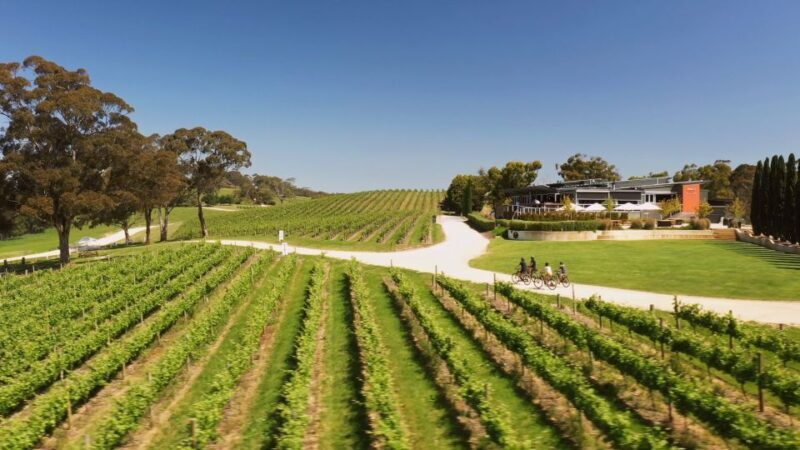 Hahndorf: Gourmet Food & Wine E-Bike Tour - Exploring the Itinerary: What to Expect at Each Stop