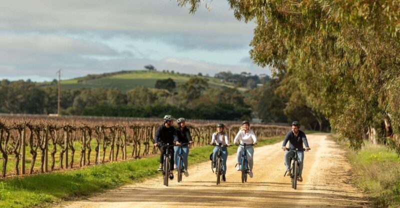 Hahndorf: Gourmet Food & Wine E-Bike Tour - Authentic Touches and Local Insights