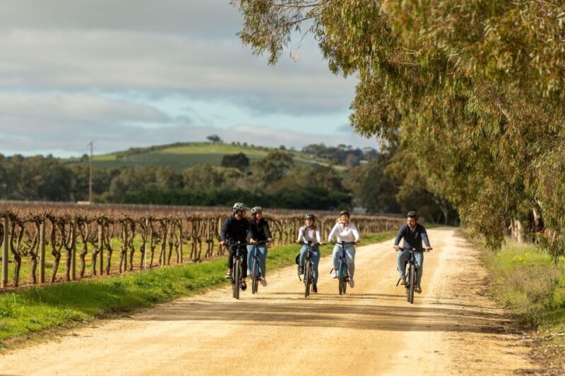Hahndorf: Gourmet Food & Wine E-Bike Tour - Who Will Love This Tour?