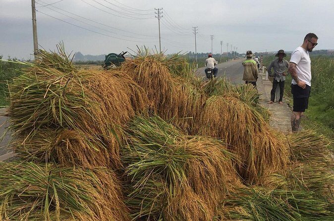 HAI VAN PASS JEEP TOUR - Top Gear Explore by JEEP - FAQ