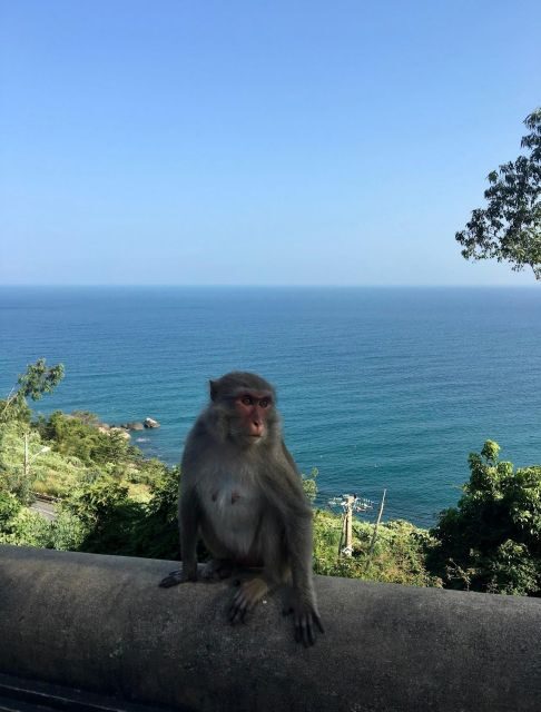 Hai Van Pass, Marble Mountain, Lady Buddha from Hoi An - Who Will Love This Tour?