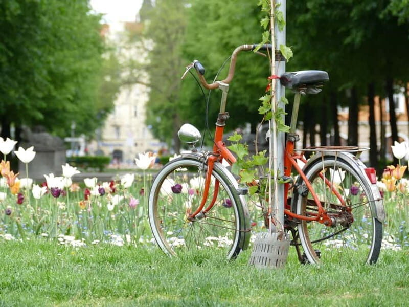 Haidhausen: Insider Tour! Secrets in Munich's French Quarter - Key Points