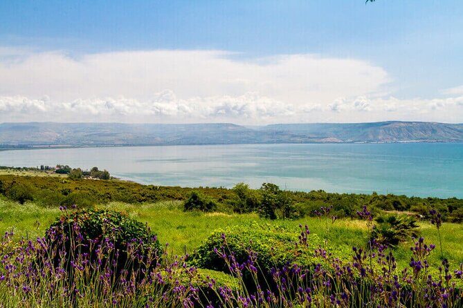 Haifa Port Shore Excursion: Nazareth and Sea of Galilee Day Tour from Haifa Port - Practicalities and Tips