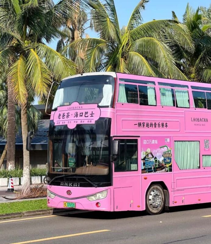 Haikou: 3H Dad Tea Themed Bus & Qilou Old Street Guided Walk - The Experience in Detail