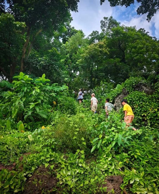 Haikou: 3H Leiqiong Volcanic Geo-Park Tour with Meal - FAQ