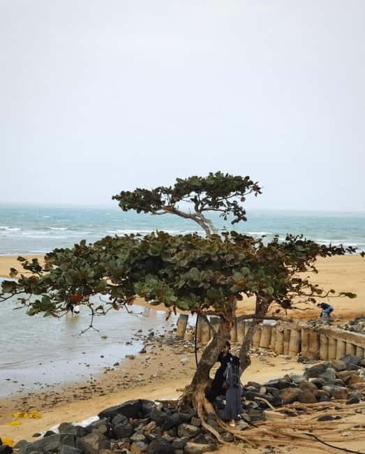 Haikou Nature & Local Life: Volcano, Wetlands & Old Markets - Discovering Haikou’s Natural Wonders and Cultural Charms