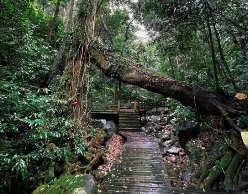 Hainan: A private day trip to Wuzhishan - Key Points