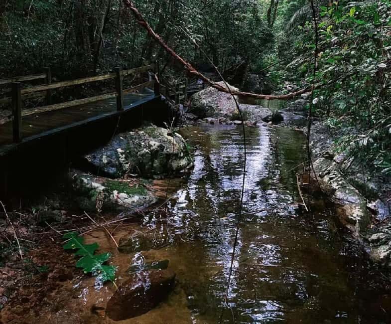 Hainan: A private day trip to Wuzhishan - An In-Depth Look at the Wuzhishan Day Trip