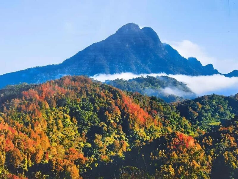 Hainan: A private day trip to Wuzhishan - Practical Tips for the Trip