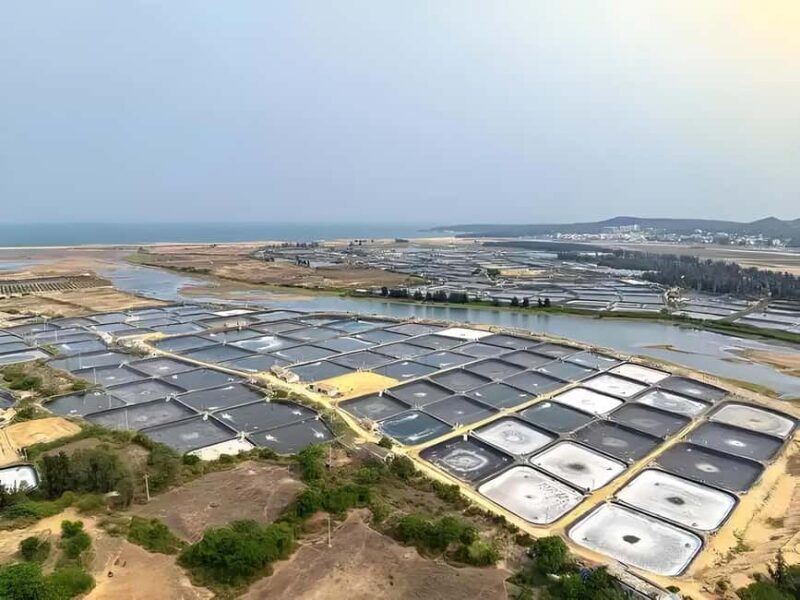 Hainan: Xiantian Village, Junling Temple, & Qizi Bay Tour - What to Expect from the Day