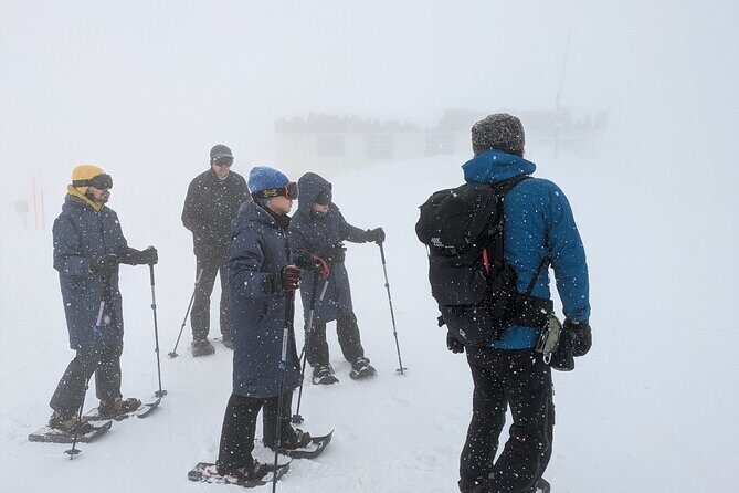 Hakkoda Area Snowshoe Adventure Tour - Introduction to the Hakkoda Snowshoe Tour