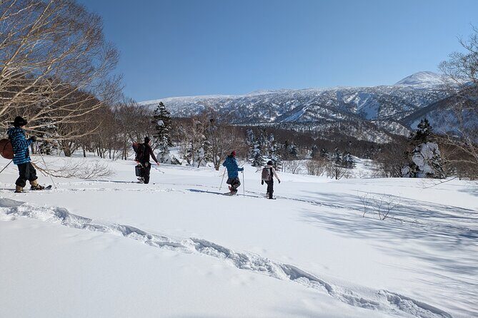 Hakkoda Area Snowshoe Adventure Tour - The Authentic Experience: What Travelers Say