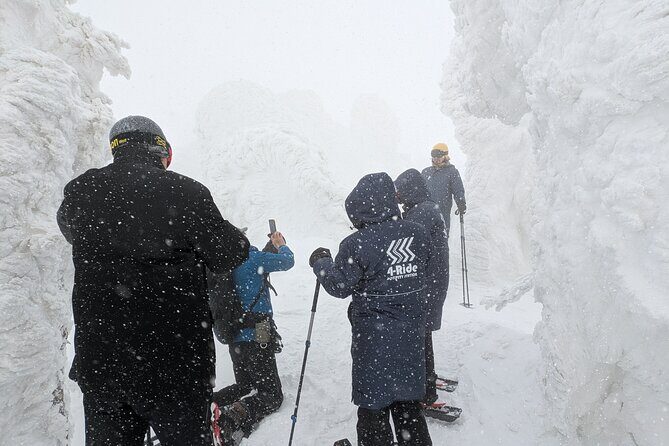 Hakkoda Area Snowshoe Adventure Tour - Practicalities and Planning Tips