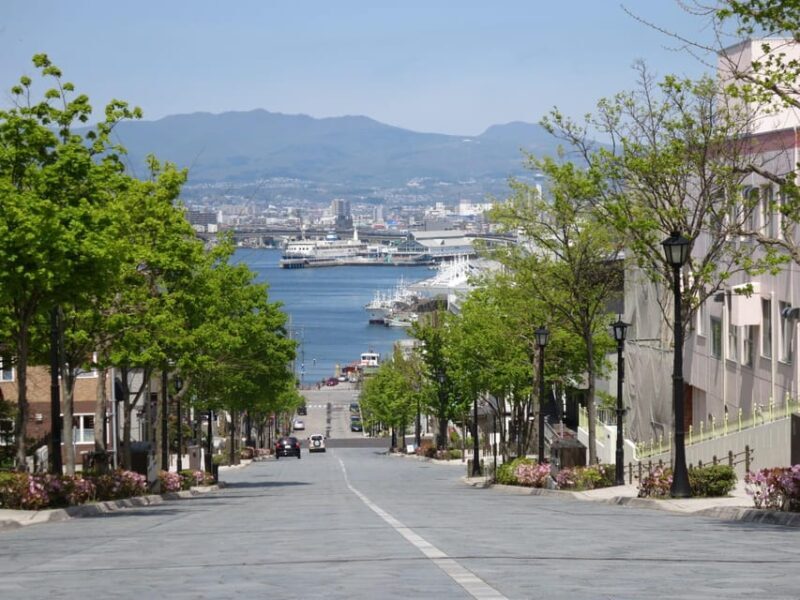 Hakodate: a half-day tour with Government Licensed guide - Key Points  