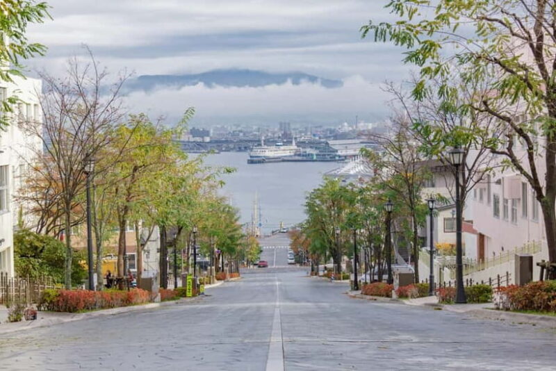 Hakodate: Half-day Heritage Trail Tour  4 Hours - Pricing & Value