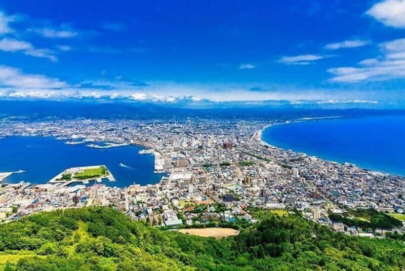 Hakodate Private Walking Tour with Government-Licensed Guide - Why This Tour Works Well for Different Travelers