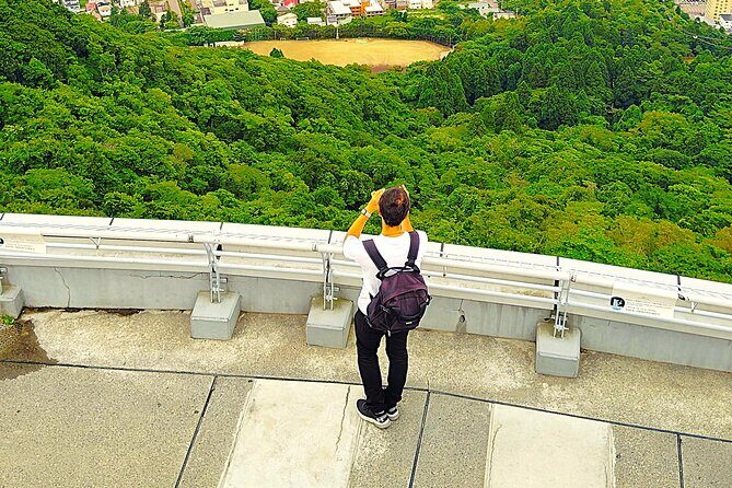 Hakodate: Romantic Port Walk & Mt. Hakodate Night View - An In-Depth Look at the Tour Itinerary