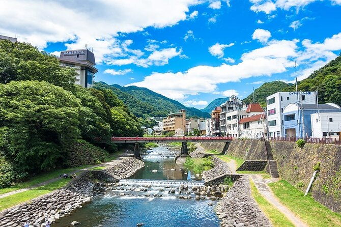 hakone-6-hour-private-tour-with-government-licensed-guide