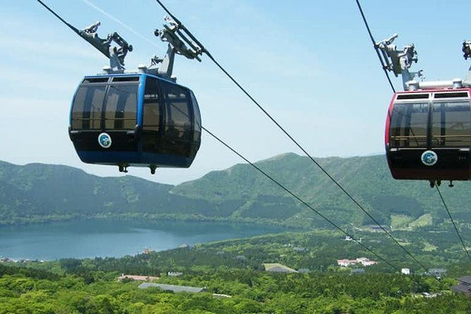 hakone-6-hour-private-tour-with-government-licensed-guide