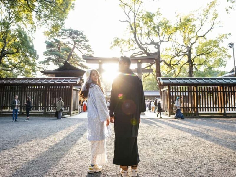 Hakone: All-Inclusive Private Tour - Introduction