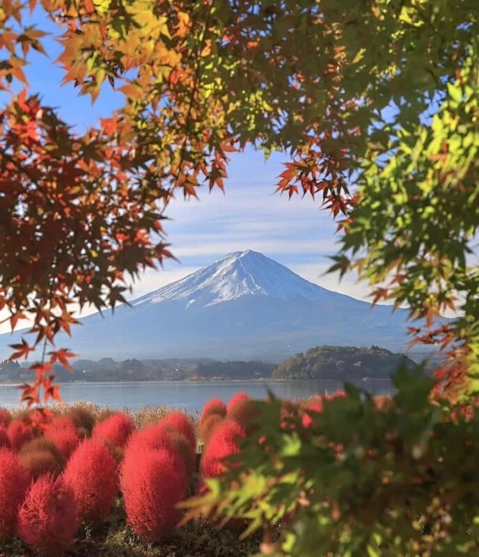 Hakone And Mount Fuji Private Tour With Hotel Pick Up - An In-Depth Look at the Experience