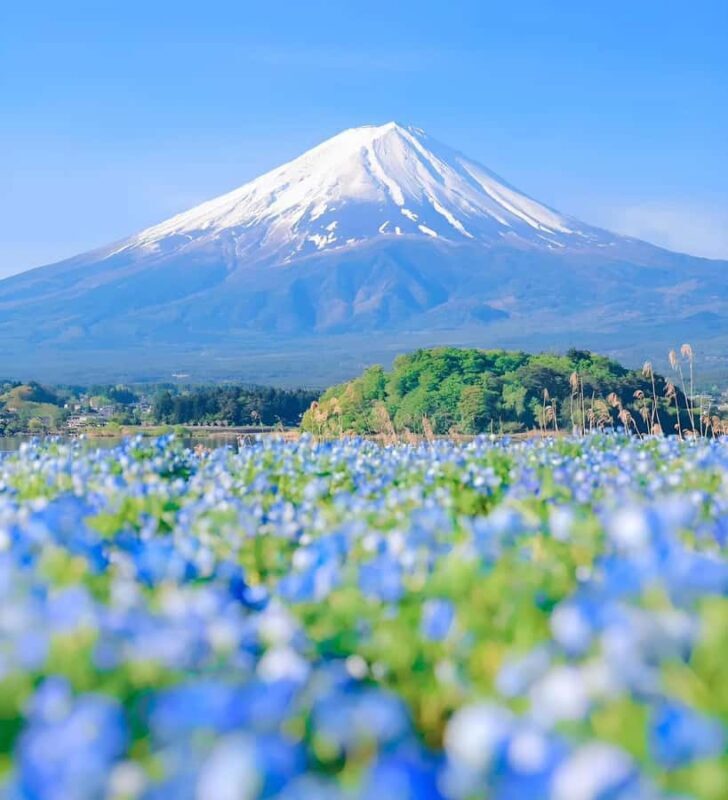 Hakone And Mount Fuji Private Tour With Hotel Pick Up - Who Would Love This Tour?