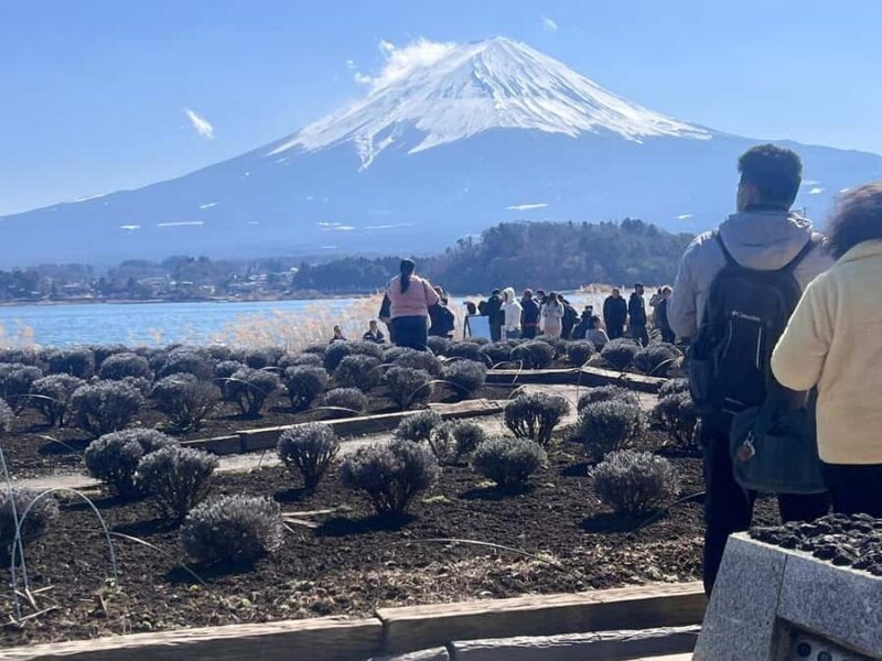 Hakone And Mount Fuji Private Tour With Hotel Pick Up - Final Thoughts