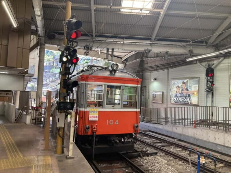 Hakone: Evangelion Anime Tour with Professional Guide - Key Points