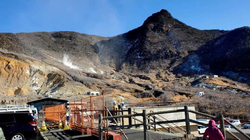 Hakone Full-Day Private Tour from Tokyo (Customizable) - Why Choose This Hakone Tour?