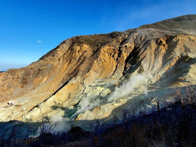 Hakone Full-Day Private Tour from Tokyo (Customizable) - The Sum Up